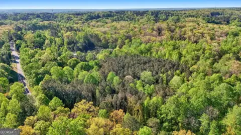 Prime Hickory Flats Land Opportunity
