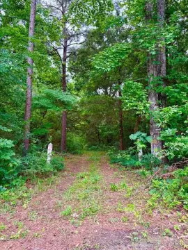 38 Acres Near Lake Striker