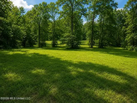 Wooded Homesite in Subdivision