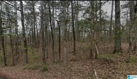 Land Parcel in Pinson, AL