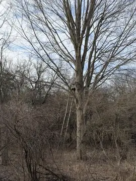 Holt, MI Land For Sale