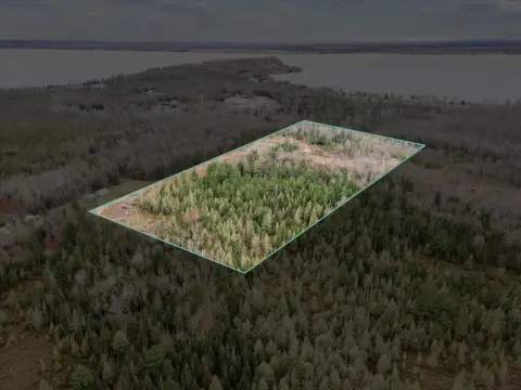 Secluded Land Near Houghton Lake