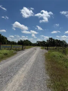 Cattle Ranch and Hunting Land