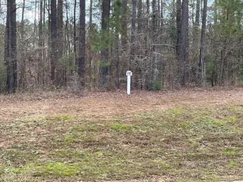 Golf Course View Homesite