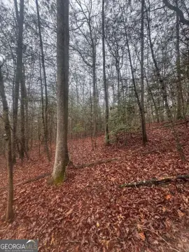 Land in Ellijay, Georgia