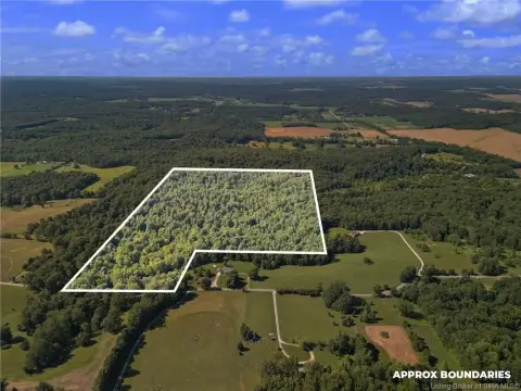 Wooded Hunting & Recreational Land
