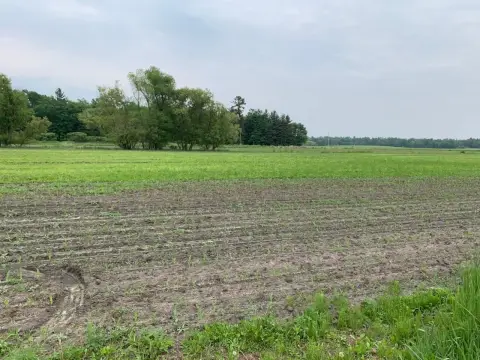 40 Acres of Rural Land