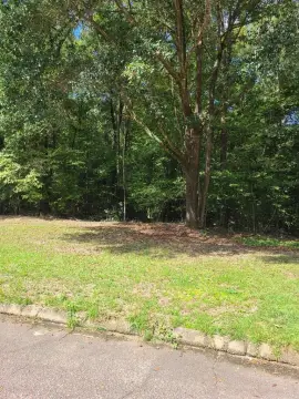 Residential Lot in Established Subdivision