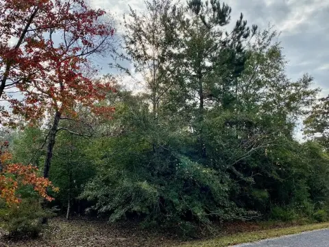 Picayune Vacant Wooded Lot