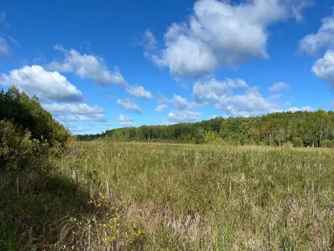 Big Fork River Waterfront Land