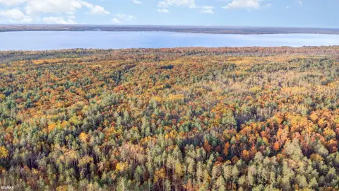 41 Acres of Vacant Land