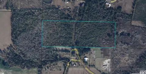Wooded Land Tract