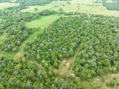 Schulenburg Acreage with Utilities