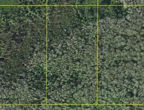 5-Acre Naples Land Parcel