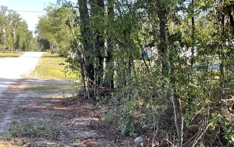 Residential Lot Near Suwannee River
