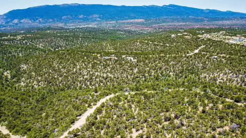 Land For Sale in Tijeras