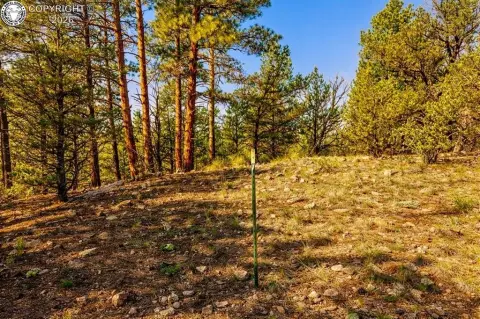 Colorado Mountain Land For Sale