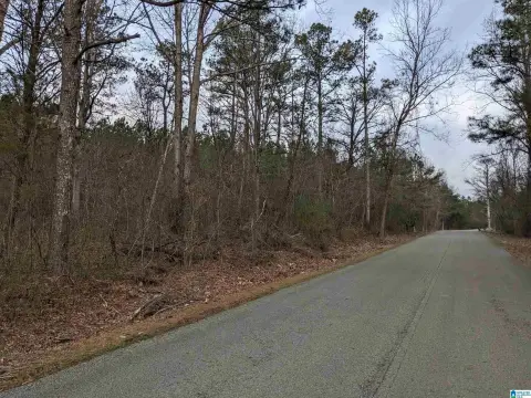 Recreational Hunting Land with Pond