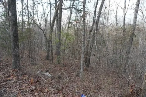 Cherokee Village Wooded Subdivision Lot