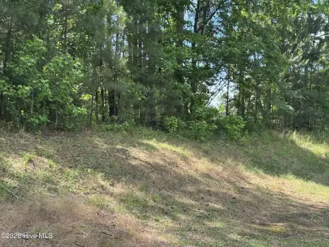 North Augusta Land in Mount Vintage