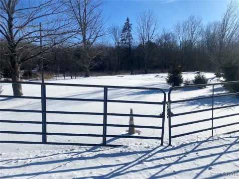 Caneadea Acre Building Lot