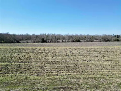 Unrestricted 5-Acre Land Tract