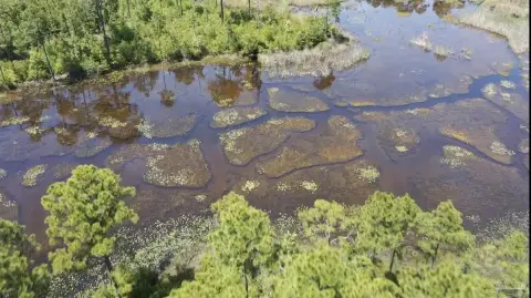 Water-Adjacent Homesite Lot
