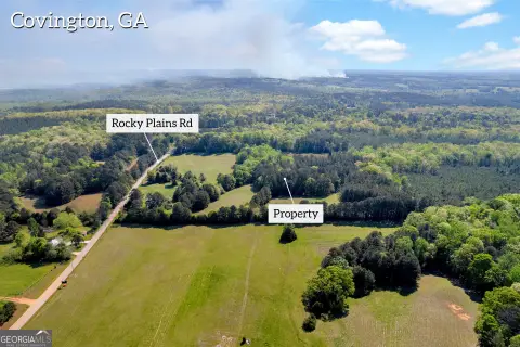 21-Acre Lot in Newton County