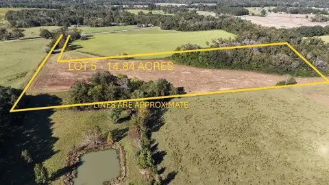 Residential Land in Ashford, AL