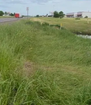 Land Near Cedar Creek Lake