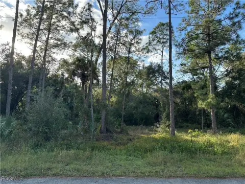Lehigh Acres Land Opportunity