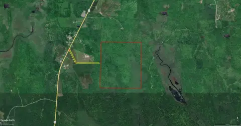 Aroostook County Hunting Land