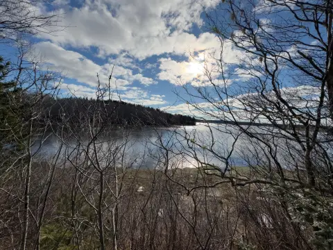 Private Waterfront Land in Machiasport