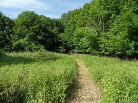 Residential Land in Whitesboro, NY