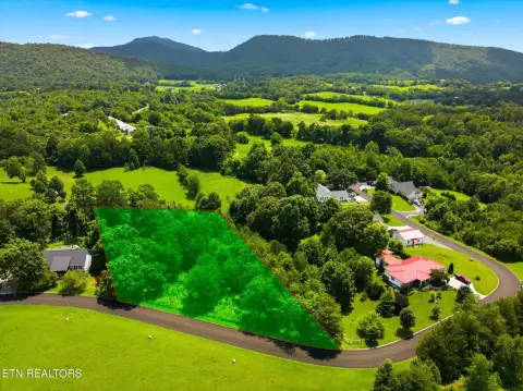 Wooded Acreage Lot