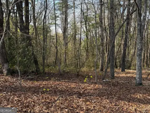 Lakemont, GA Residential Lot