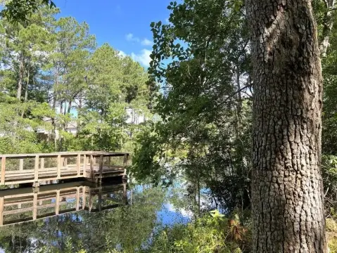 Ready-to-Build Waterfront Home Lot