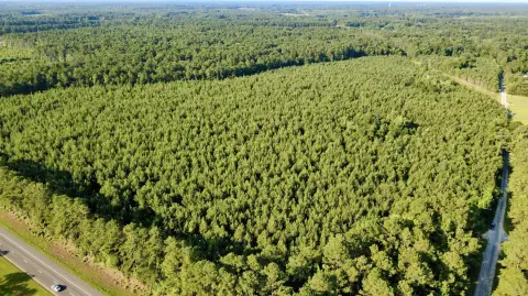 Recreational Timberland Parcel