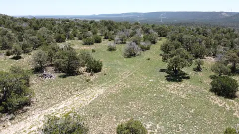 40 Acres in Corona Ranch