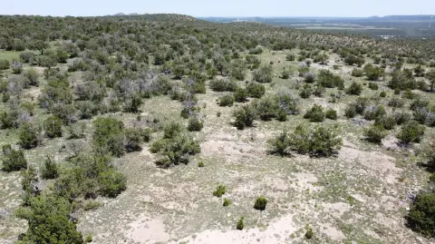 40 Acres in Corona Ranch