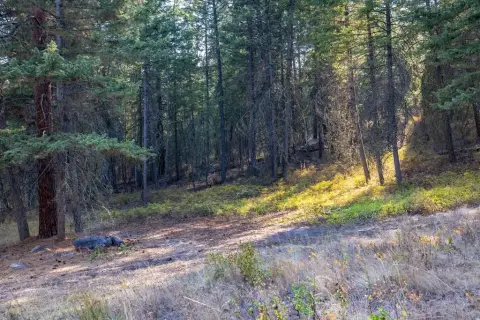 Polson, MT One Acre Lot