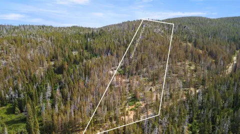 Montana Hunting Land with USFS Access