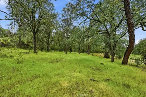 Lower Lake 20-Acre Land Parcel