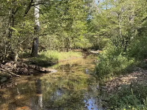 Ozark Mountain Hunting Retreat