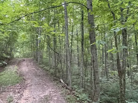 Ranger, GA Secluded Lot