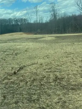 Cleared 1-Acre Lot Ready