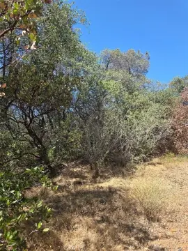 Recreation Land for Weekend Retreat