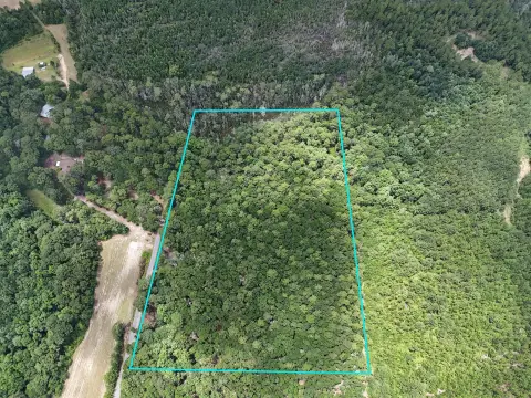 Wooded Land with Scenic Stream