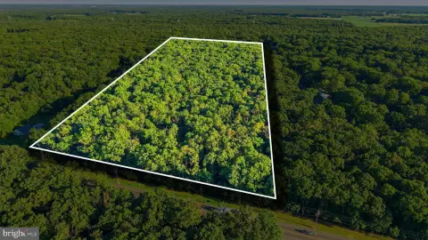 Wooded Commercial Land Development
