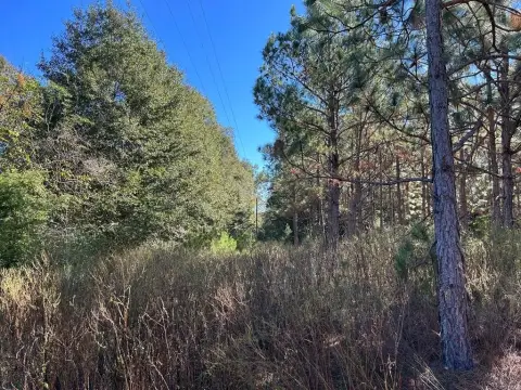 Residential Land Near Headland, AL